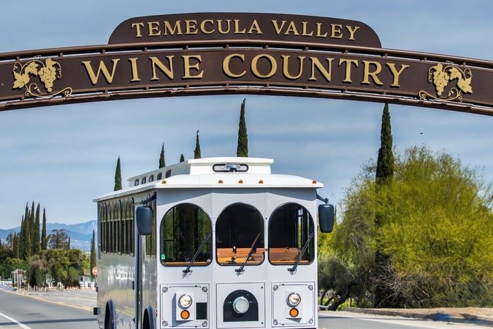 Luxury Temecula Wine Tour with Tastings & Charcuterie included - Photo 1 of 16